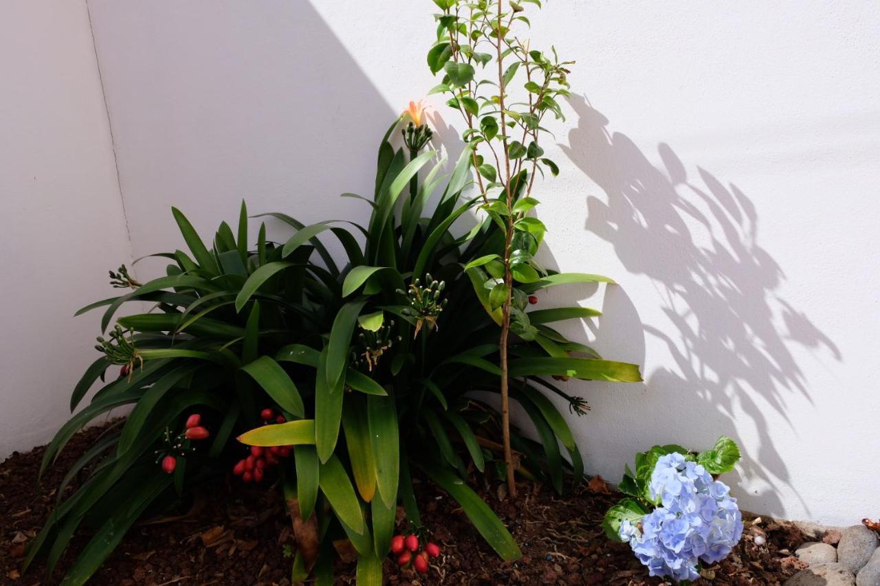 A Casa Do Terraco Apartment ปอนตาเดลกาดา ภายนอก รูปภาพ